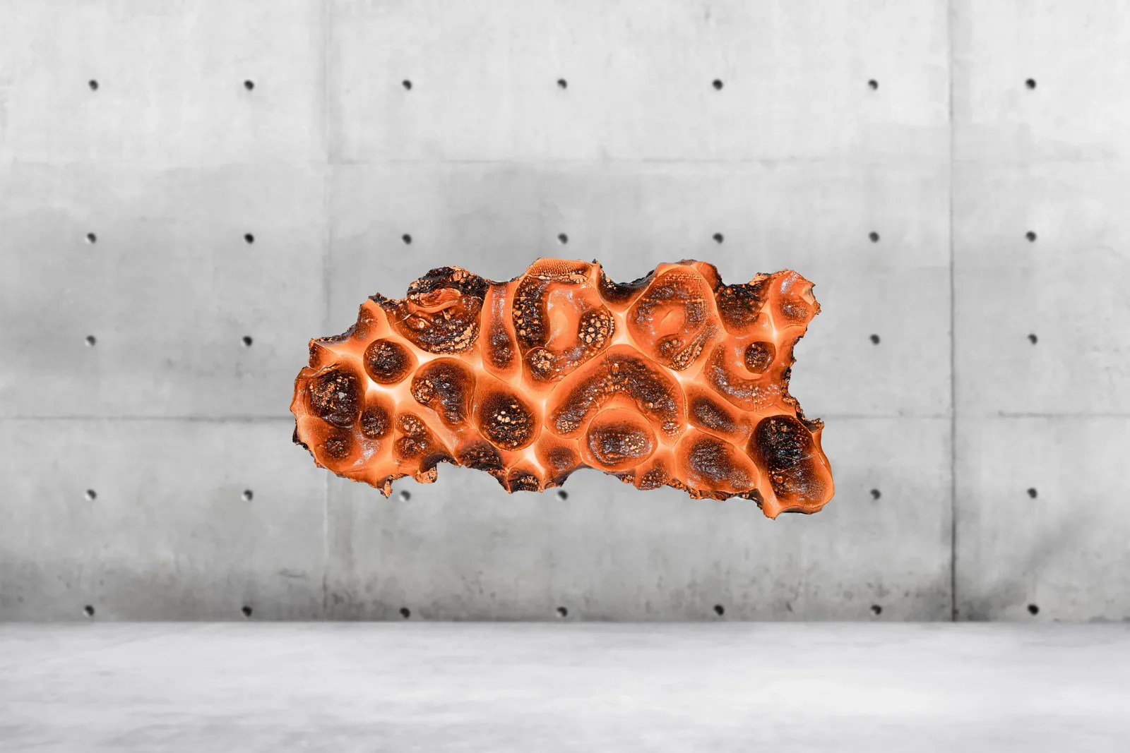 Rilievo materico arancio a superficie cellulare di Gianluca Foglietta, riproduzione fotografica Koral