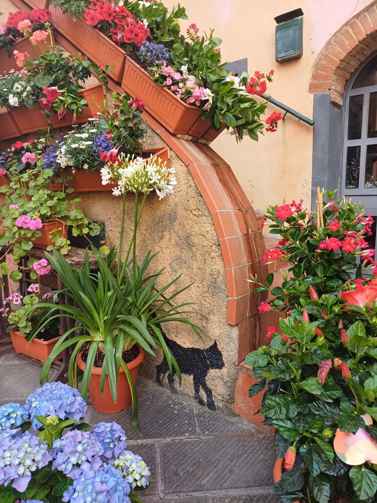 Scorcio fiorito del Borgo di Sotto a Riparbella, immagine post-prodotta da Koral