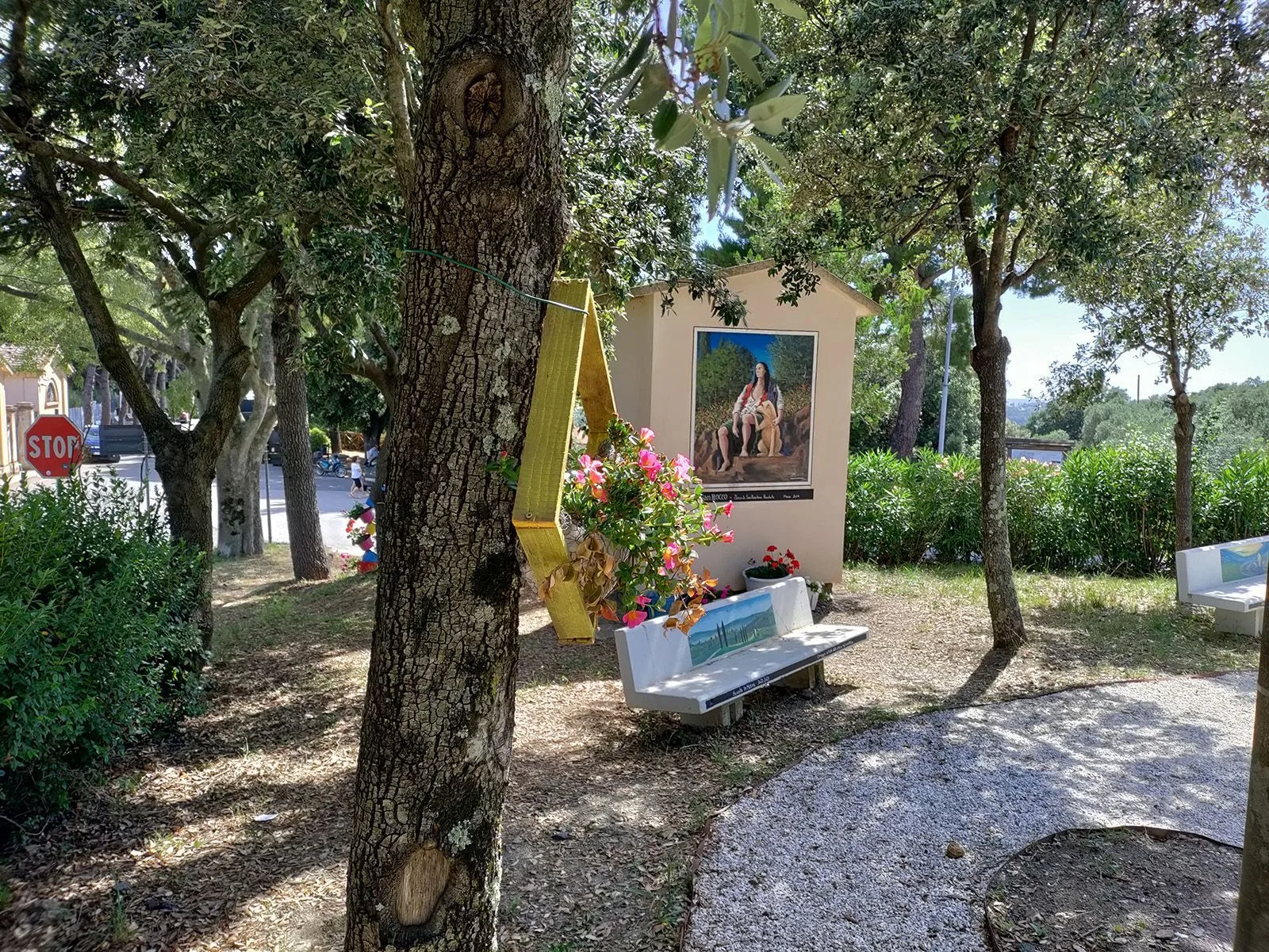 Il parco di San Rocchino a Riparbella con le panchine fra gli olivi, immagine post-prodotta da Koral